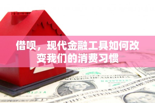 庆元借呗，现代金融工具如何改变我们的消费习惯