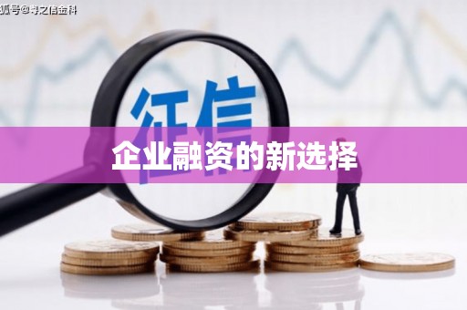 庆元企业融资的新选择