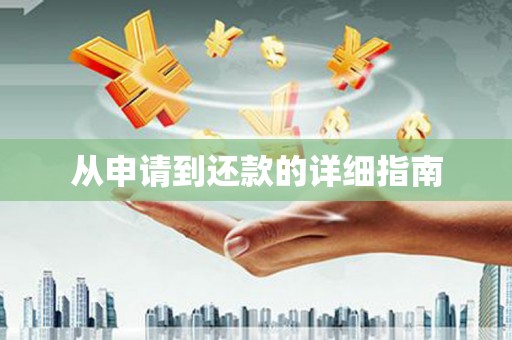 庆元从申请到还款的详细指南