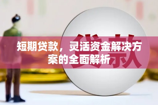 庆元短期贷款，灵活资金解决方案的全面解析