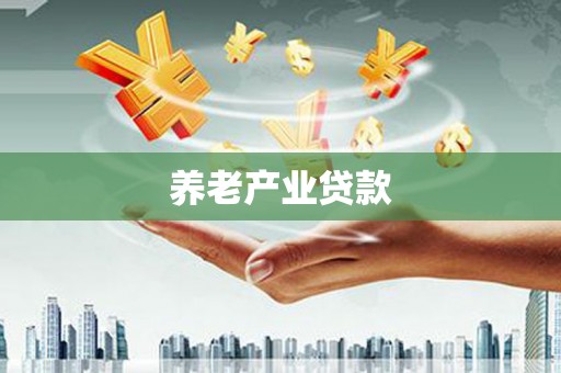 庆元养老产业贷款