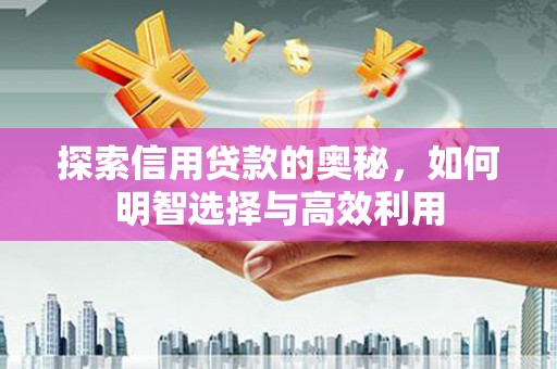 庆元探索信用贷款的奥秘，如何明智选择与高效利用
