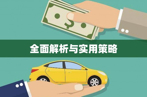 庆元全面解析与实用策略