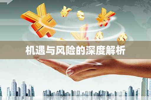 庆元机遇与风险的深度解析