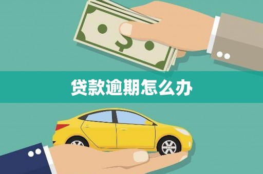 庆元贷款逾期怎么办