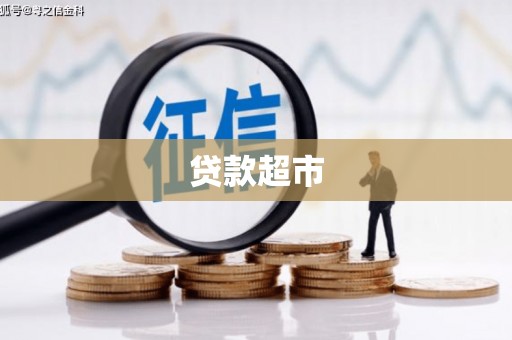 庆元贷款超市