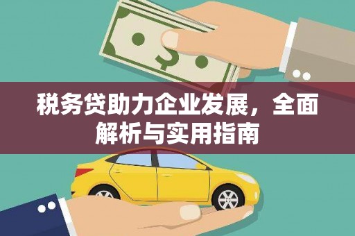 庆元税务贷助力企业发展，全面解析与实用指南