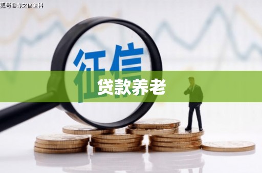 庆元贷款养老