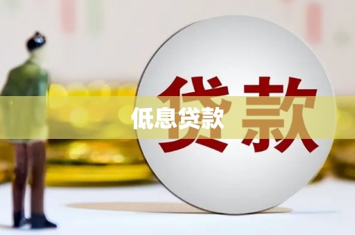 庆元低息贷款