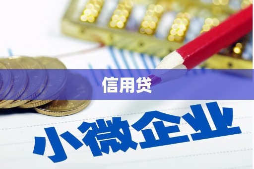 庆元信用贷