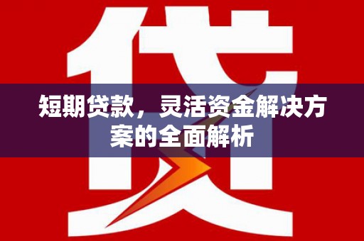 庆元短期贷款，灵活资金解决方案的全面解析