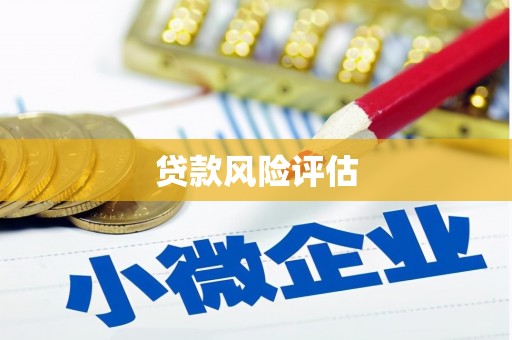庆元贷款风险评估