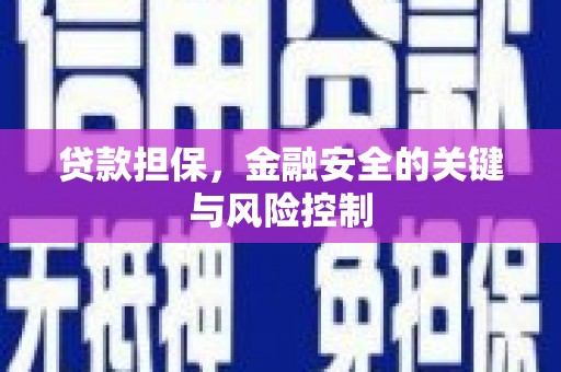 庆元贷款担保，金融安全的关键与风险控制