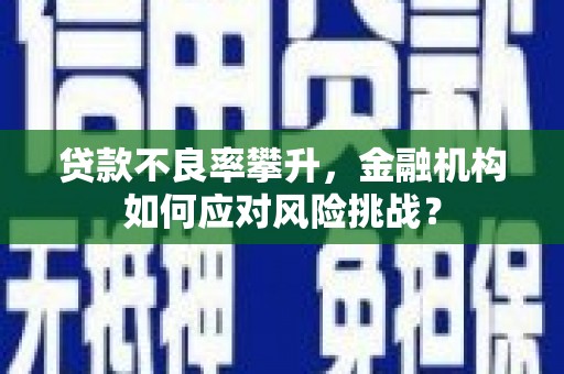 庆元贷款不良率攀升，金融机构如何应对风险挑战？