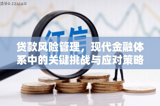 庆元贷款风险管理，现代金融体系中的关键挑战与应对策略