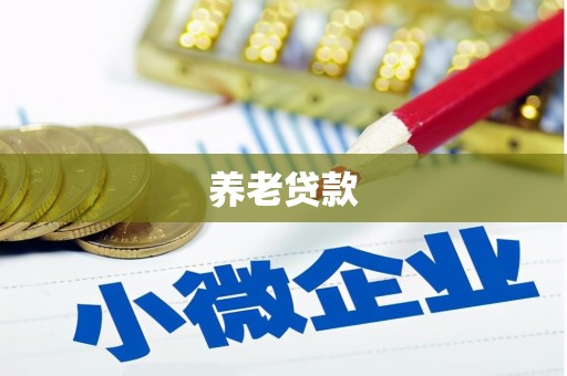庆元养老贷款