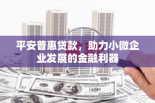 庆元平安普惠贷款，助力小微企业发展的金融利器