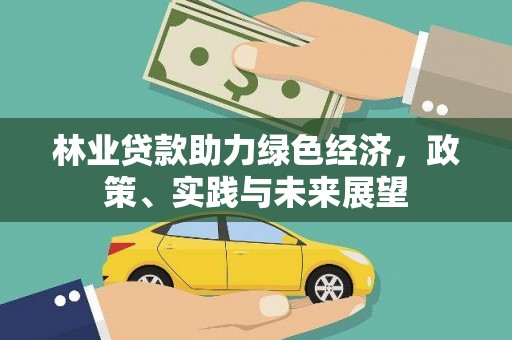 庆元林业贷款助力绿色经济，政策、实践与未来展望