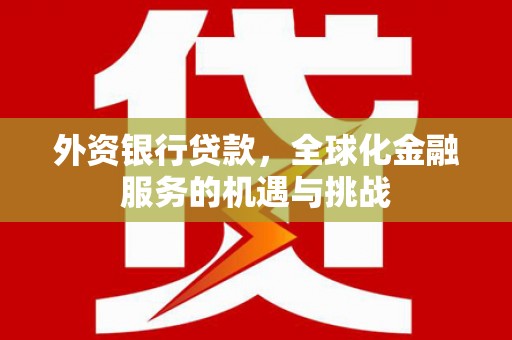 庆元外资银行贷款，全球化金融服务的机遇与挑战