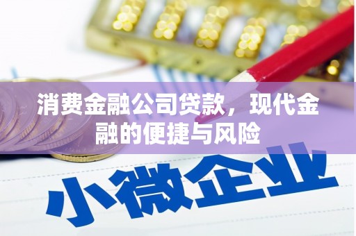 庆元消费金融公司贷款，现代金融的便捷与风险
