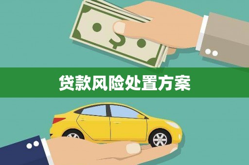 庆元贷款风险处置方案
