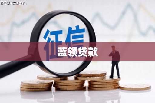 庆元蓝领贷款