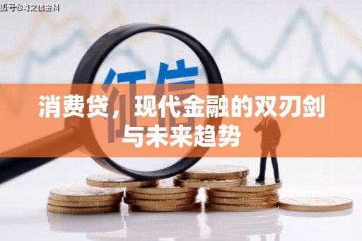 庆元消费贷，现代金融的双刃剑与未来趋势
