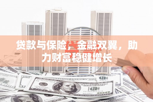 庆元贷款与保险，金融双翼，助力财富稳健增长