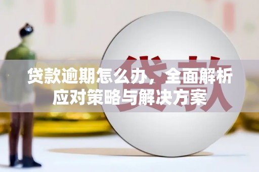 庆元贷款逾期怎么办，全面解析应对策略与解决方案