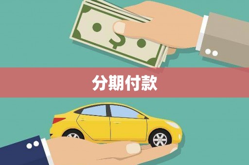 庆元分期付款