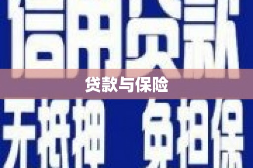 庆元贷款与保险