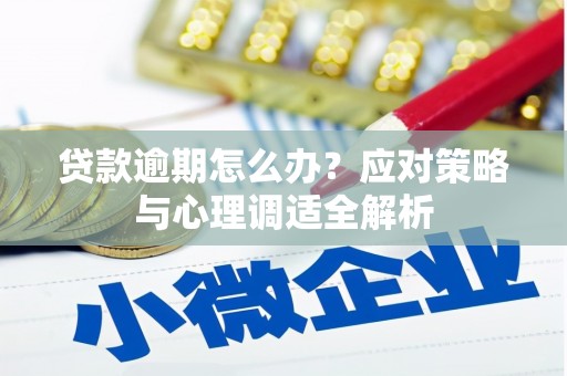 庆元贷款逾期怎么办？应对策略与心理调适全解析