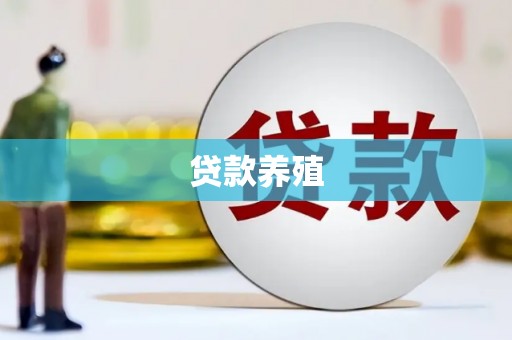 庆元贷款养殖