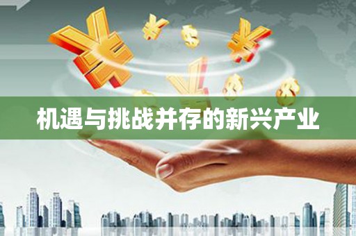 庆元机遇与挑战并存的新兴产业