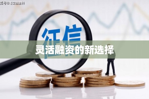 庆元灵活融资的新选择