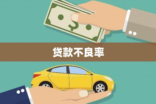 庆元贷款不良率