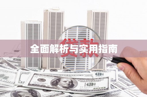 庆元全面解析与实用指南