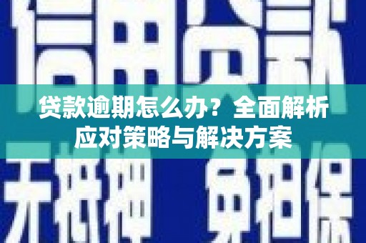 庆元贷款逾期怎么办？全面解析应对策略与解决方案
