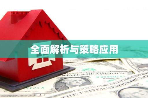 庆元全面解析与策略应用