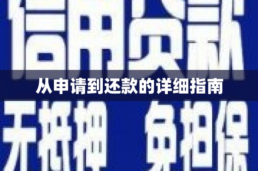 庆元从申请到还款的详细指南
