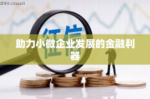 庆元助力小微企业发展的金融利器