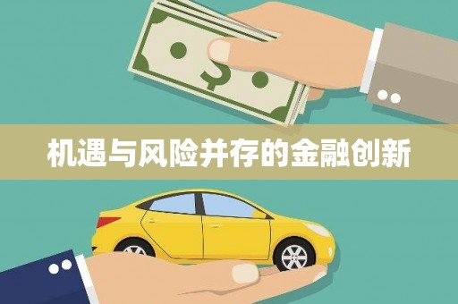 庆元机遇与风险并存的金融创新