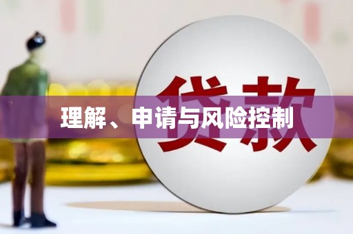 庆元理解、申请与风险控制