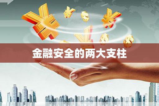 庆元金融安全的两大支柱