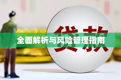 庆元全面解析与风险管理指南