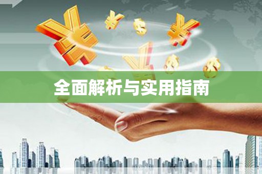 庆元全面解析与实用指南