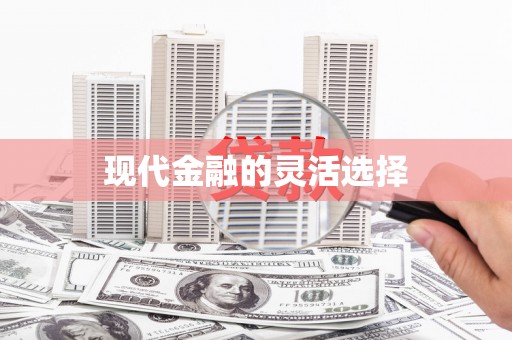 庆元现代金融的灵活选择