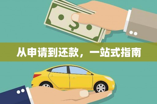 庆元从申请到还款，一站式指南