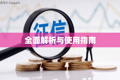 庆元全面解析与使用指南