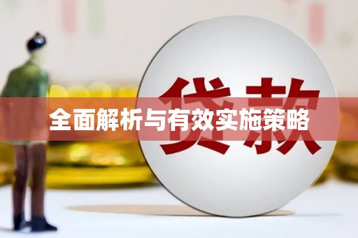 庆元全面解析与有效实施策略